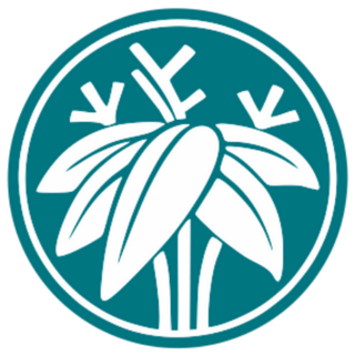 Logo Hayashi